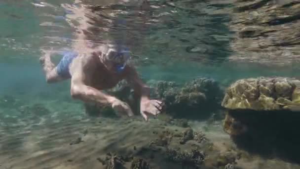 Close-up onderwater uitzicht van oude man snorkelen in transparante oceaan met koralen — Stockvideo