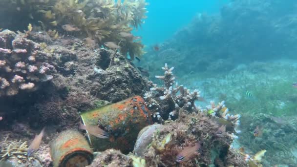 Scena subacquea: vecchie lattine arrugginite distese sui coralli sotto il mare con pesci. — Video Stock