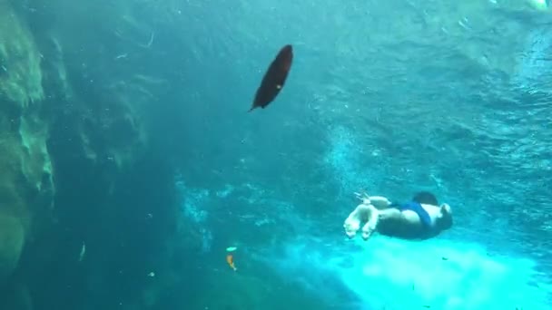 A man swimming underwater beneath the waterfall crystal clear blue water. — Stock Video