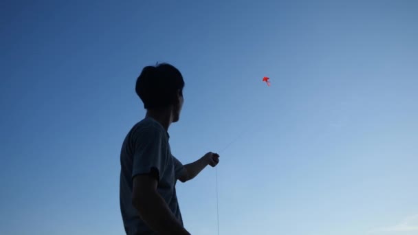 Rearview of a teenage boy pulling down string of wind kite flying in blue sky. — Stock Video