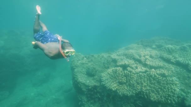 Hombre de turismo con máscara de snorkel nadando y flotando en el arrecife de coral bajo el mar . — Vídeo de stock