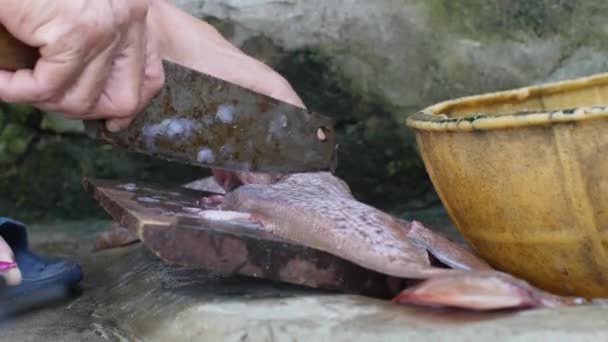 Žena rukou krájí ryby na špinavé kuchyni v Asii pomocí rezavého nože. — Stock video