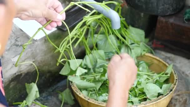Régi vietnami nő szakács levetkőzik zöld növényi levelek a koszos konyhában — Stock videók