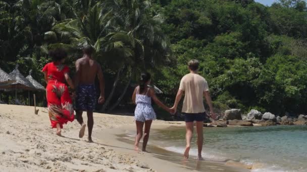 Achteraanzicht van twee paren die elkaars hand vasthouden terwijl ze aan het strand lopen. — Stockvideo