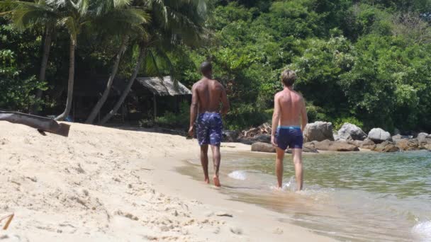 Uomini neri e caucasici che camminano insieme in spiaggia il giorno d'estate. — Video Stock