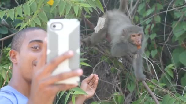 Turista masculino tirando uma selfie com o macaco no parque natural . — Vídeo de Stock