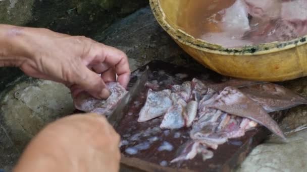 De cerca en las manos de las mujeres en la cocina sucia rebanando y descamando pescado. — Vídeos de Stock