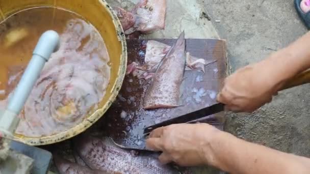 Close-up tiro de uma mulher mão limpeza e corte de peixe em uma tábua de madeira. — Vídeo de Stock