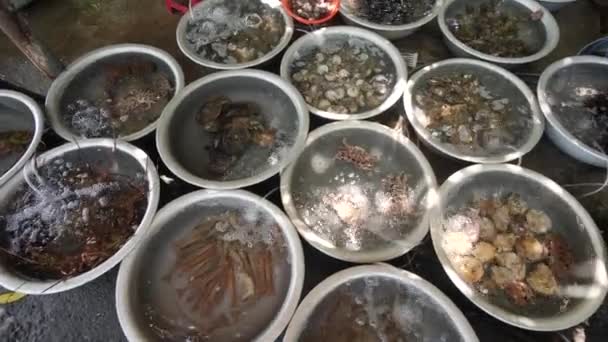 Rows of circle basins with different kinds of seafoods being sold in an open market. — Stock Video