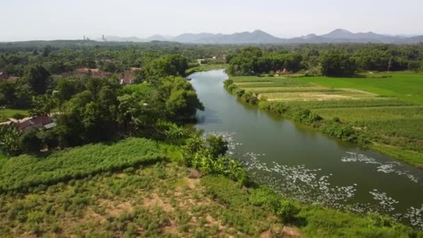 Drone vue sur village rural avec lac, ferme de légumes et rizières. — Video