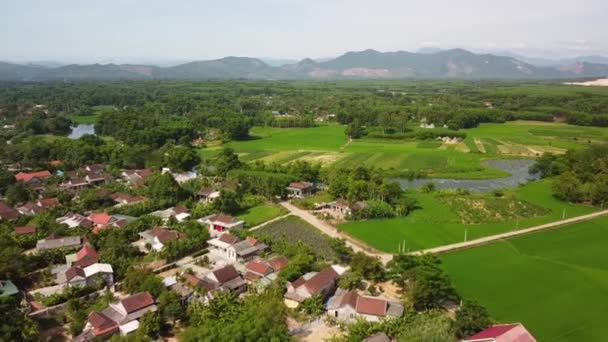 Scenic drone volar sobre un pueblo rural rodeado de árboles verdes y campos de arroz — Vídeo de stock