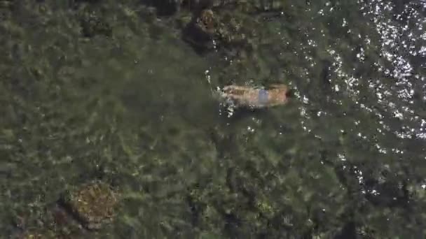 Horní pohled na mladého muže v plavecké masce plavání v čistém oceánu s korály. — Stock video