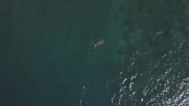 Luftaufnahme eines jungen Mannes in kurzen Hosen und Maske, der im Sommer im Ozean schwimmt. — Stockvideo