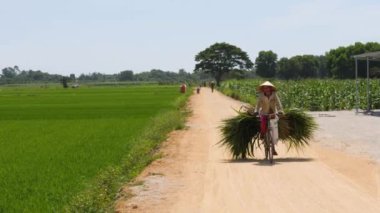 Hue, Vietnam-30 Temmuz 2020: Vietnamlı çiftçi bisiklet üzerinde yeşil saman taşıyor.