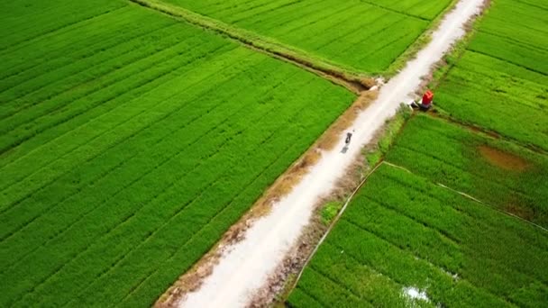 Vietnamský farmář jedoucí na kole po polní cestě mezi rýžovým polem. — Stock video