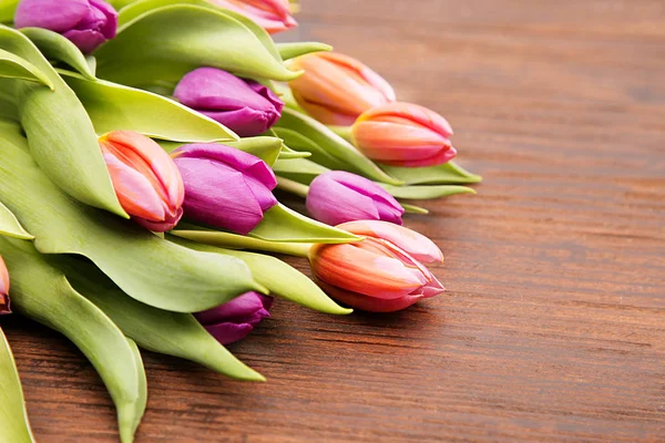 Colored tulipe — Stock Fotó