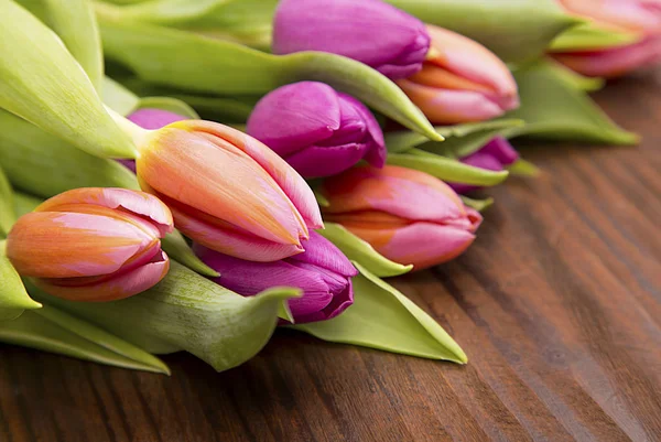 Colores spring tulips — Stock Photo, Image