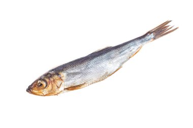 Balık beyaz arka plan üzerinde izole Baltık Ringa balığı füme.