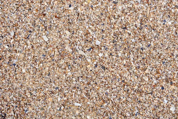 Sand, fine stones and many different particles of crushed shells — Stock Photo, Image