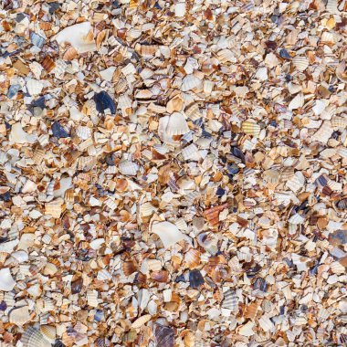 Kum, taş ve birçok farklı parçacıklar ezilmiş kabukları ince