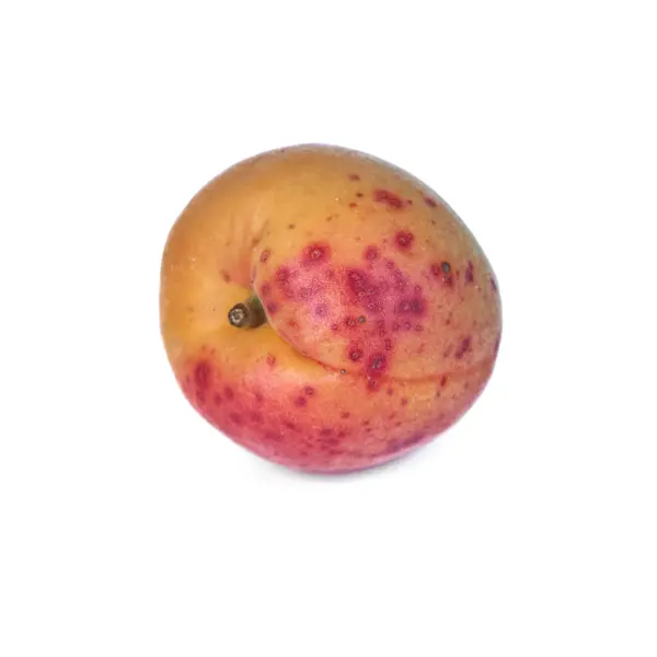 Frutti Freschi Deliziosi Albicocca Isolati Sfondo Bianco — Foto Stock