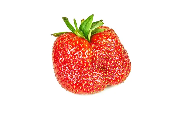 Reife köstliche Erdbeere isoliert auf weißem Hintergrund — Stockfoto
