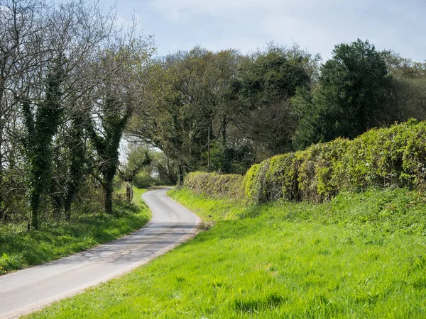 Doğal İngilizce yeşil kırsal manzara ile yol ve mavi cennet