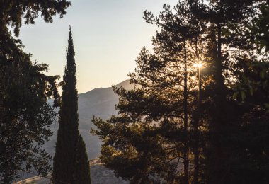 Ağaçların arasından güneş ışınları geliyor..