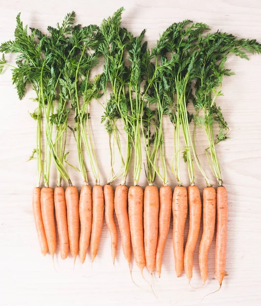 Bir sürü taze havuç.