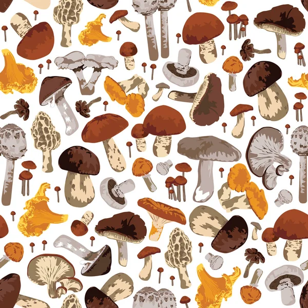Seamless Pattern Mushrooms Lot Different Edible Mushrooms White Background — Stock Vector