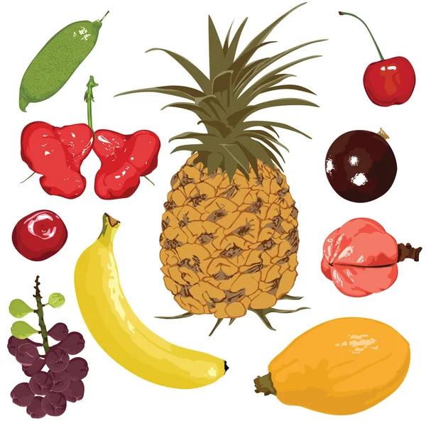 Conjunto Frutas Diferentes Frutas Jugosas Sobre Fondo Blanco — Vector de stock