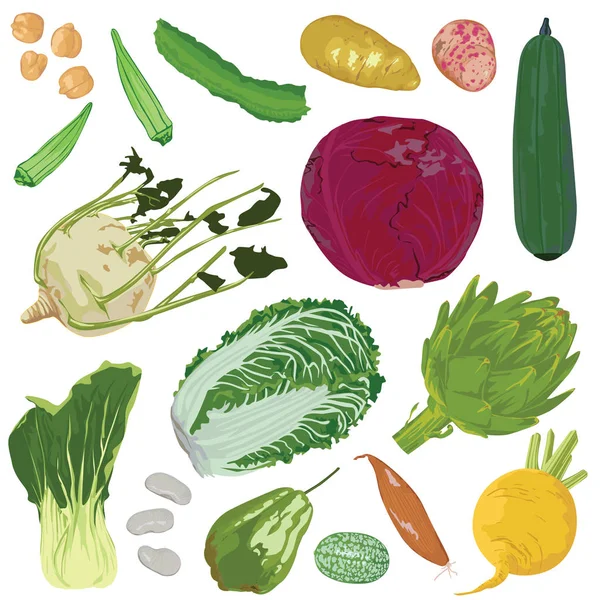 Set Vegetables White Background — Stock Vector