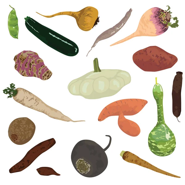 Набор Овощей Белом Фоне — стоковый вектор