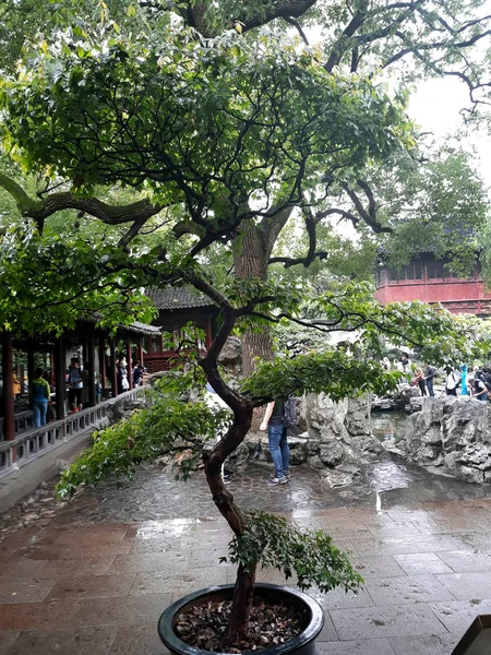 Nature Créée Selon Les Principes Feng Shui Jardin Shanghai Mai — Photo