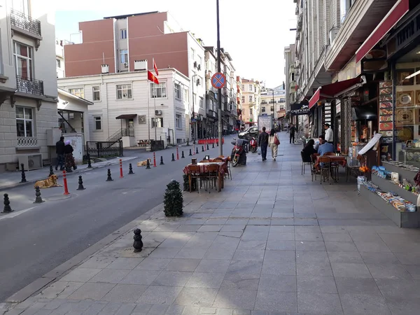 Rue Istanbul Avec Commerces Chiens Menteurs Turquie Mai 2018 — Photo