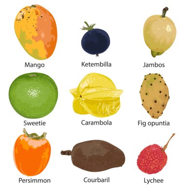 9 different fruits on a white background clipart
