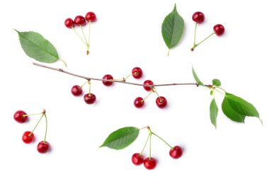 Beyaz kiraz için üstten görünüm