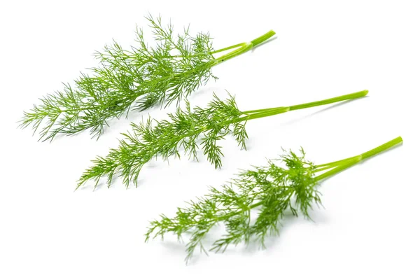 Three Fresh Dill Branches Side View — Stock Photo, Image