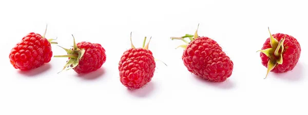 Raspberry Isolated White Side View — Stock Photo, Image