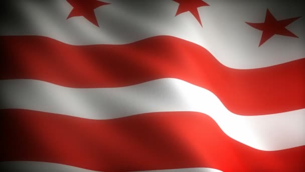 Columbia Kerület Zászlaja Varrat Nélküli — Stock videók