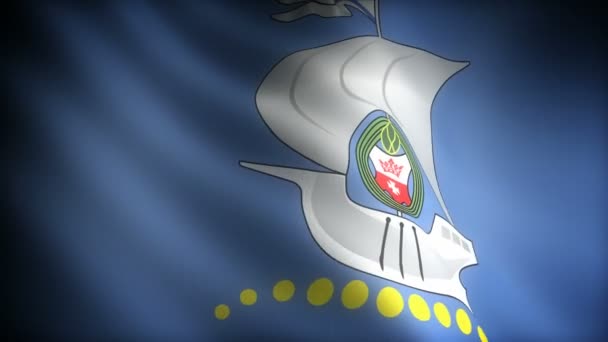 Vlag Van Kaliningrad Naadloze — Stockvideo