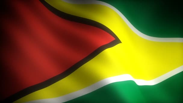 Vlag Van Guyana Naadloze — Stockvideo