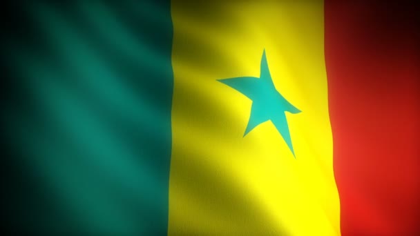 Bandiera Del Senegal Senza Soluzione Continuità — Video Stock