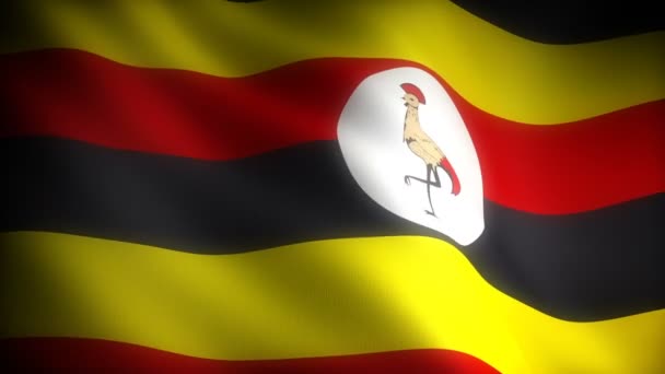 Bendera Uganda Tak Berjahit — Stok Video