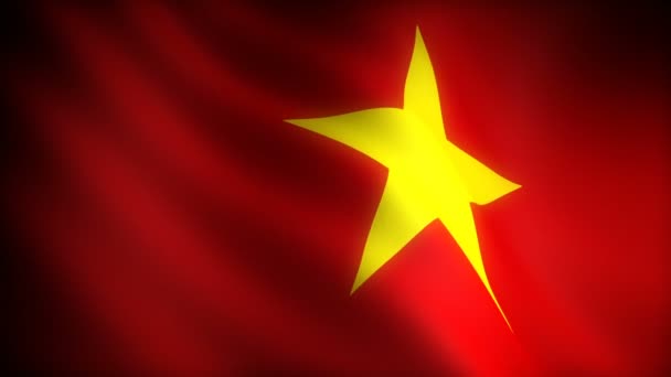 Drapeau Vietnam Sans Soudure — Video