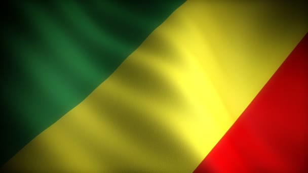 Flagge Des Kongo Nahtlos — Stockvideo