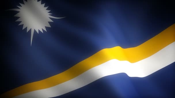 Bendera Kepulauan Marshall Tak Berjahit — Stok Video