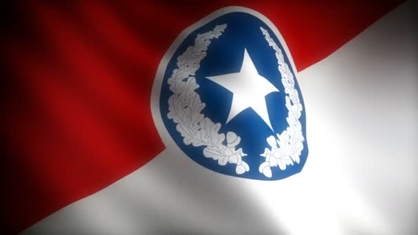 Zászló Tennessee Chattanooga Zökkenőmentes — Stock videók