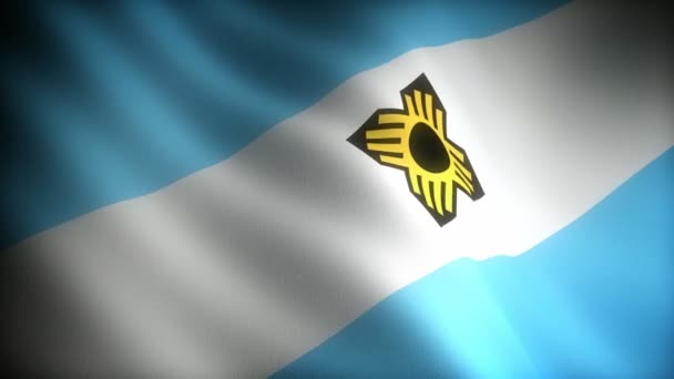 Flagge Von Wisconsin Madison Nahtlos — Stockvideo