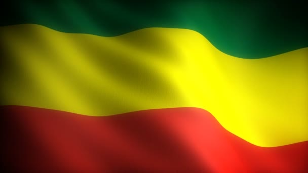 Vlag Van Ethiopië Naadloos — Stockvideo